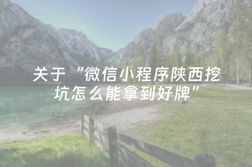 关于“微信小程序陕西挖坑怎么能拿到好牌”（神器通用版)