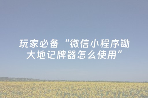 玩家必备“微信小程序锄大地记牌器怎么使用”（免费专用神器)
