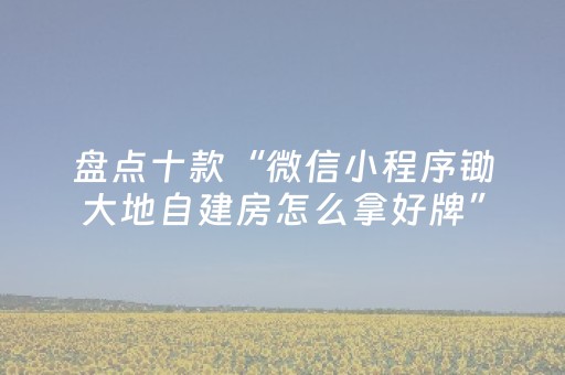 盘点十款“微信小程序锄大地自建房怎么拿好牌”（如何提高胜率)