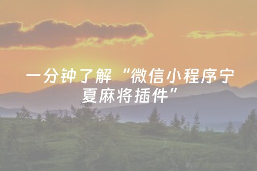 一分钟了解“微信小程序宁夏麻将插件”（助赢神器)