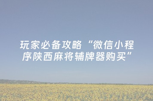 玩家必备攻略“微信小程序陕西麻将辅牌器购买”（提高胜率软件)