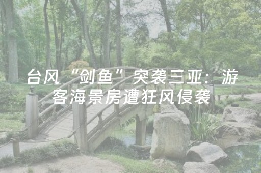 台风“剑鱼”突袭三亚：游客海景房遭狂风侵袭，惊魂夜后盼恢复