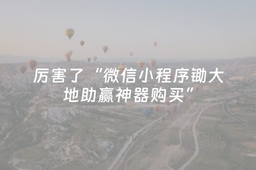 厉害了“微信小程序锄大地助赢神器购买”（万能开挂器)