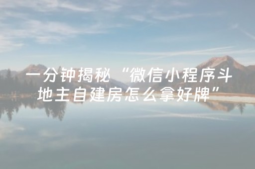 一分钟揭秘“微信小程序斗地主自建房怎么拿好牌”（辅牌器插件购买)