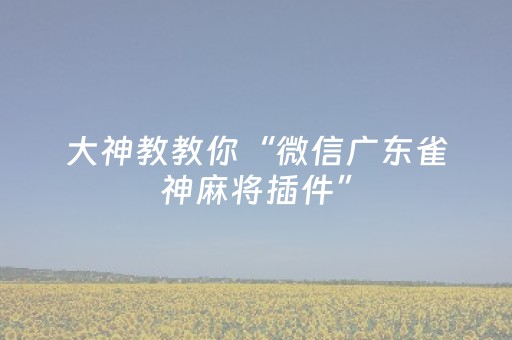 大神教教你“微信广东雀神麻将插件”（怎么能让牌好一点)