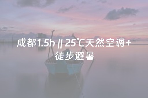 玩家必备“微信小程序麻将挂件神器”（开挂辅助脚本)