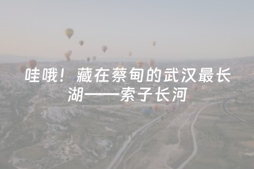 玩家必看攻略“微信小程序河南麻将专用神器下载”（通用挂软件多少钱)