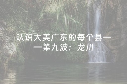 玩家必看“微信小程序湖北麻将专用神器”（辅牌器插件购买)