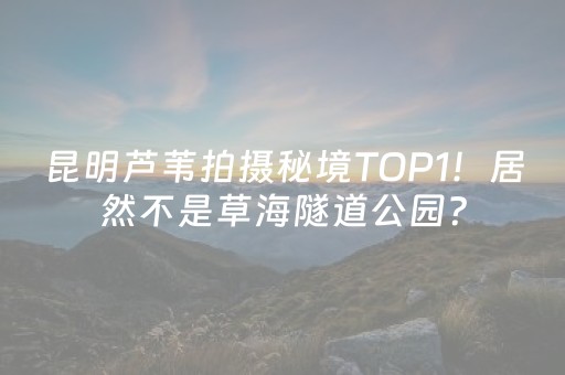 介绍十款“财神十三张是怎么控制胜率”（规律确实有挂)
