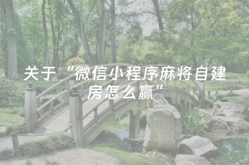 关于“微信小程序麻将自建房怎么赢”（怎么让系统给你发好牌)
