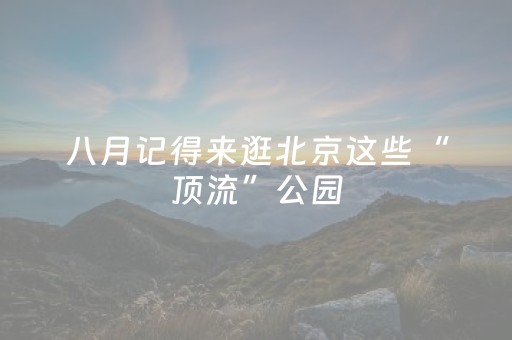 介绍十款“微信雀神麻将开挂辅助插件”（透明挂辅助器)
