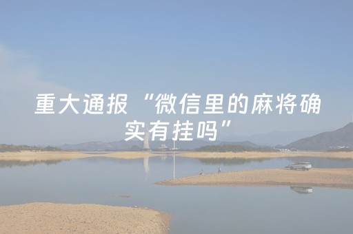 重大通报“微信里的麻将确实有挂吗”（提高胜率软件)