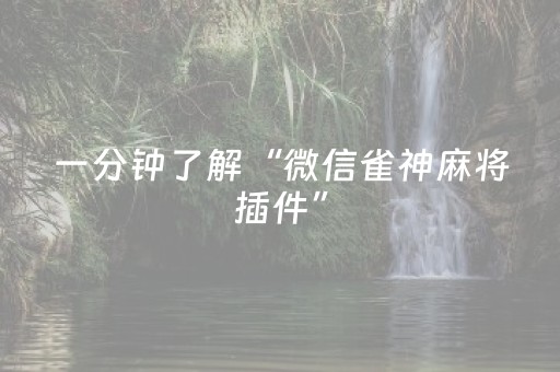一分钟了解“微信雀神麻将插件”（好友房怎么才能赢)