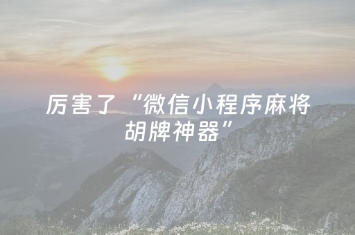 厉害了“微信小程序麻将胡牌神器”（开挂辅助插件)