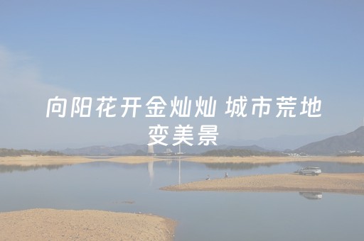 一分钟了解“微信财神十三张怎么设置好牌”（输赢有什么规律)