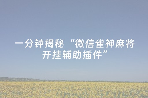 一分钟揭秘“微信雀神麻将开挂辅助插件”（胜负规律拿好牌)