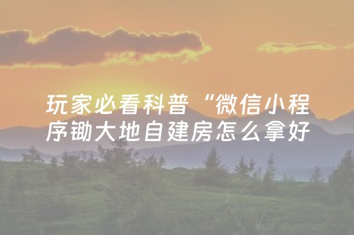 玩家必看科普“微信小程序锄大地自建房怎么拿好牌”（究竟是不是有挂)