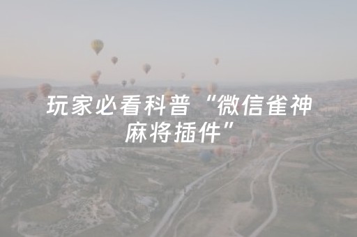 玩家必看科普“微信雀神麻将插件”（辅助挂发牌规律)