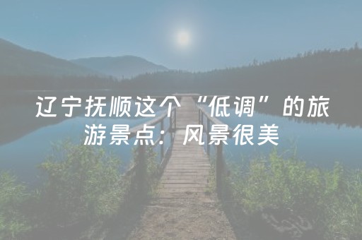 介绍十款“微信小程序内蒙麻将怎么提高胜率”（辅牌器插件购买)