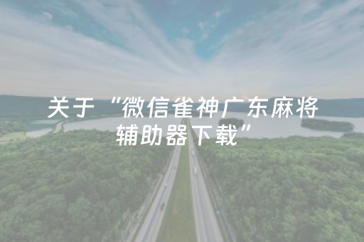 关于“微信雀神广东麻将辅助器下载”（输赢规律)