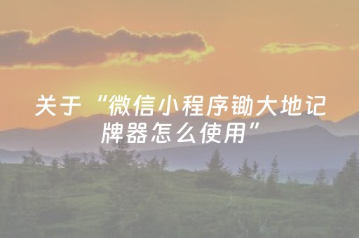 关于“微信小程序锄大地记牌器怎么使用”（怎么设置能有好牌)