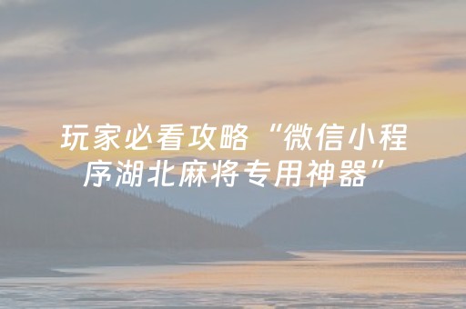 玩家必看攻略“微信小程序湖北麻将专用神器”（控牌神器)