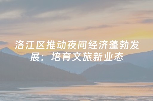 洛江区推动夜间经济蓬勃发展：培育文旅新业态，激发消费新活力