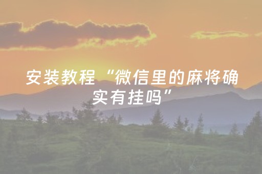 安装教程“微信里的麻将确实有挂吗”（必赢神器)