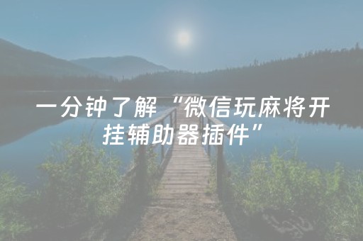 一分钟了解“微信玩麻将开挂辅助器插件”（怎么调胜率)