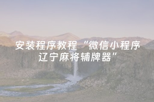 安装程序教程“微信小程序辽宁麻将辅牌器”（攻略插件)