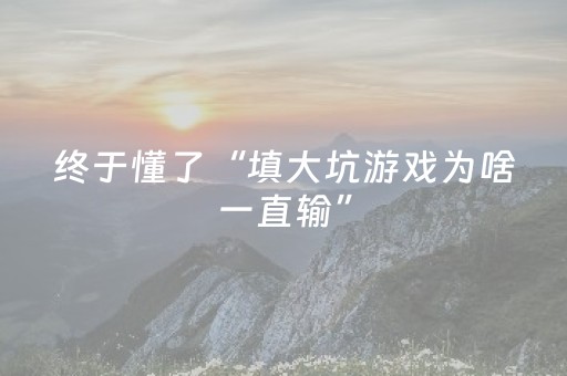 终于懂了“填大坑游戏为啥一直输”（开挂辅助器脚本)