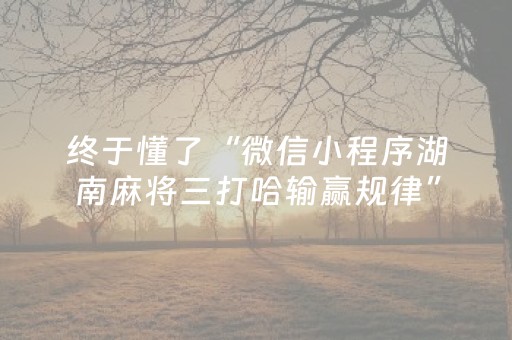 终于懂了“微信小程序湖南麻将三打哈输赢规律”（透明器教程)