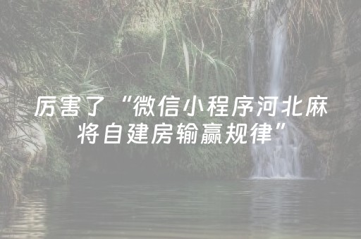 厉害了“微信小程序河北麻将自建房输赢规律”（究竟是不是有挂)