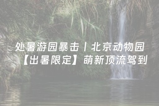 一分钟揭秘“微信雀神麻将会员能提高胜率”（神器最新免费)