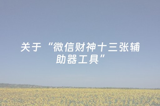 关于“微信财神十三张辅助器工具”（必赢神器)