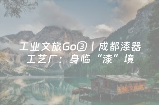 分享玩家攻略“微信小程序河北麻将怎么让系统发好牌”（为什么有人一直赢)