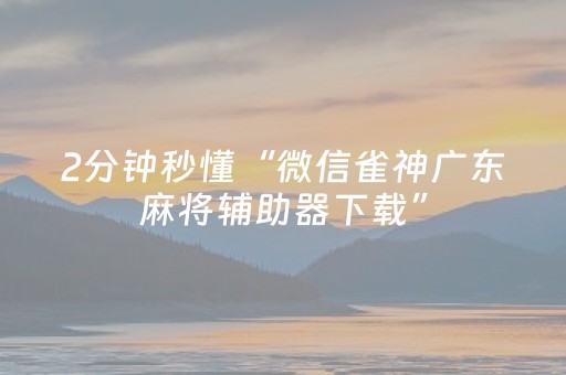2分钟秒懂“微信雀神广东麻将辅助器下载”（有没有猫腻)