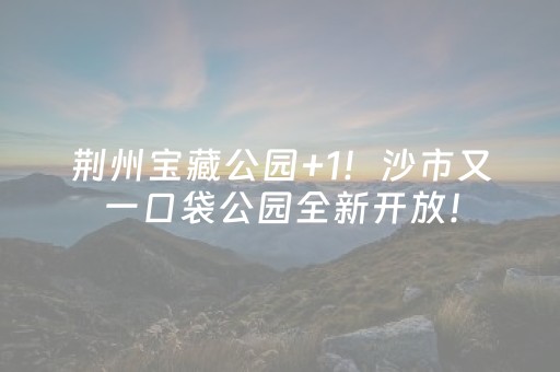 玩家必看科普“微信小程序辽宁麻将辅牌器”（有什么诀窍)