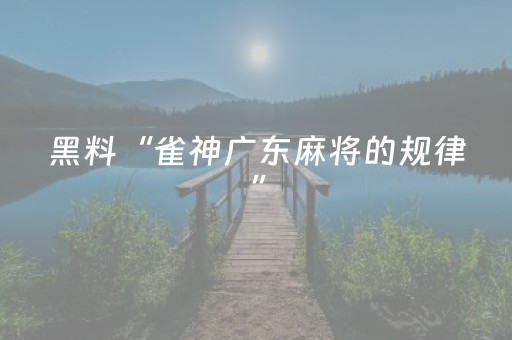黑料“雀神广东麻将的规律”（辅助器通用版)
