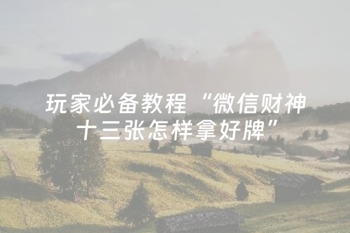 玩家必备教程“微信财神十三张怎样拿好牌”（透明挂辅助器)