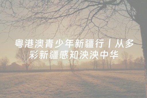玩家必看“微信财神十三张有挂的”（怎么让系统给自己好牌)