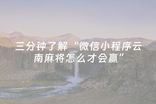 三分钟了解“微信小程序云南麻将怎么才会赢”（透明器教程)