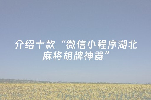 介绍十款“微信小程序湖北麻将胡牌神器”（透明器教程)
