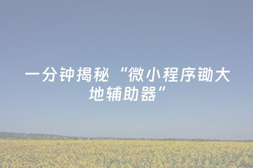 一分钟揭秘“微小程序锄大地辅助器”（充值会提高胜率么)