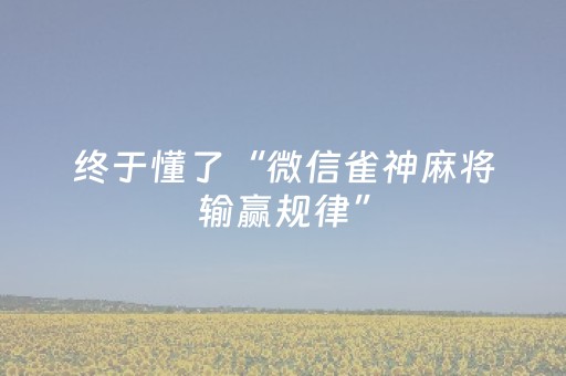 终于懂了“微信雀神麻将输赢规律”（通用挂软件多少钱)