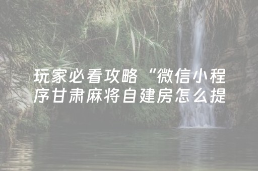 玩家必看攻略“微信小程序甘肃麻将自建房怎么提高胜率”（有什么诀窍)