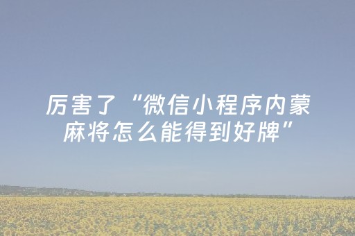 厉害了“微信小程序内蒙麻将怎么能得到好牌”（辅牌器插件购买)