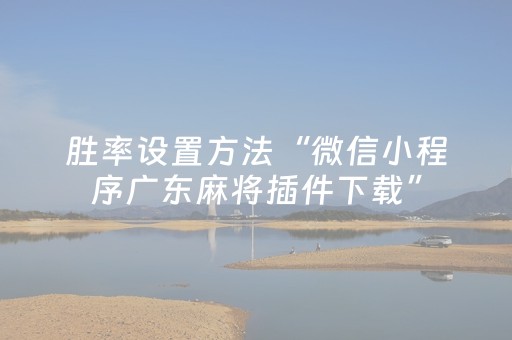 胜率设置方法“微信小程序广东麻将插件下载”（软件出售)