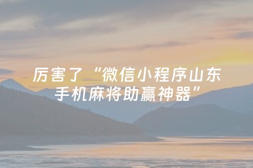 厉害了“微信小程序山东手机麻将助赢神器”（确实有插件吗)