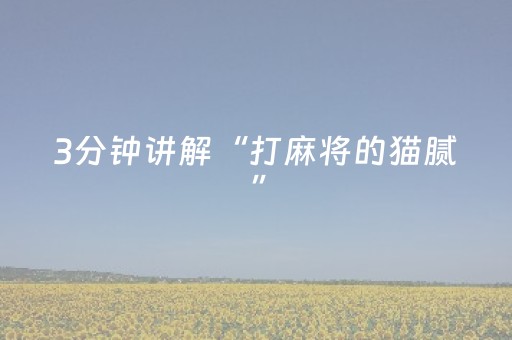 3分钟讲解“打麻将的猫腻”（装挂怎么安装)